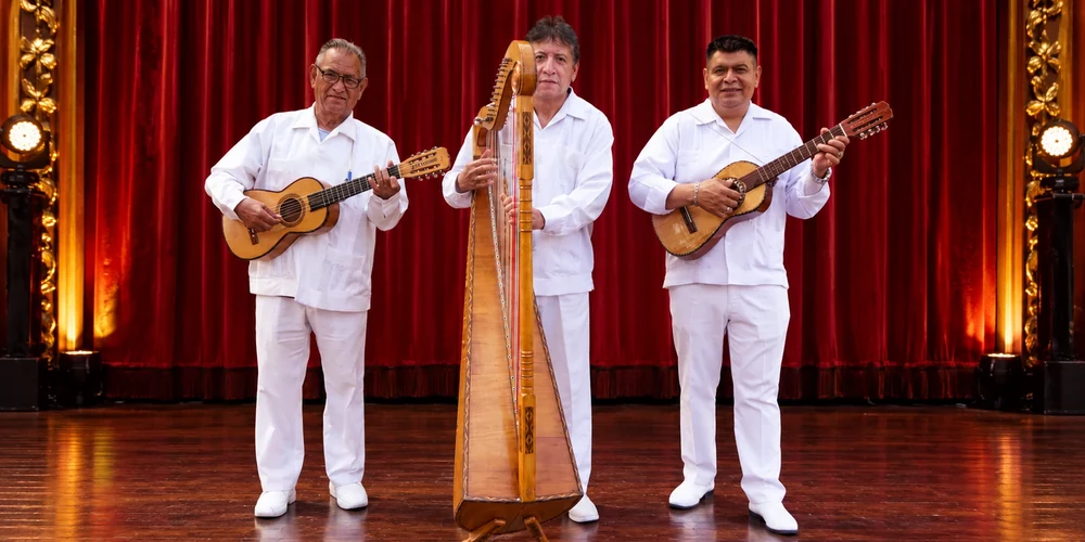 Fotografía de música jarocha en vivo